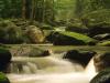 Roaring Fork River, Great Smoky Mountains